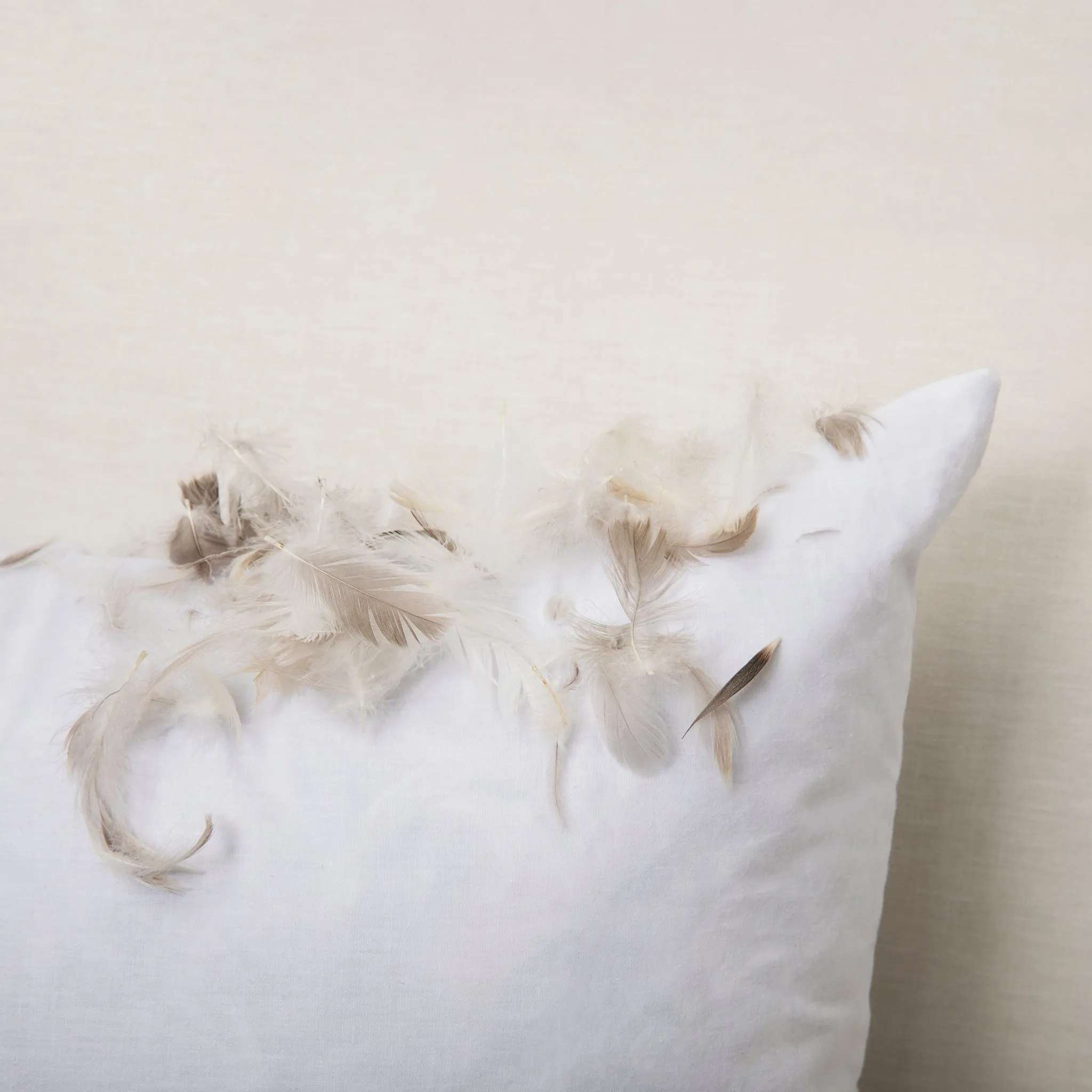 350 x 600 Goose feather & down Cushion Inner to fit 300 x 550 cover