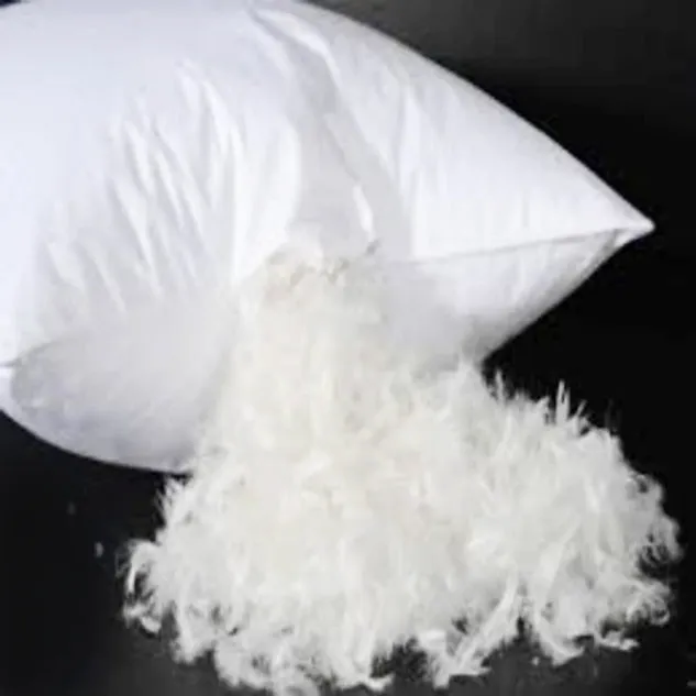 Feather Duck Down Pillow