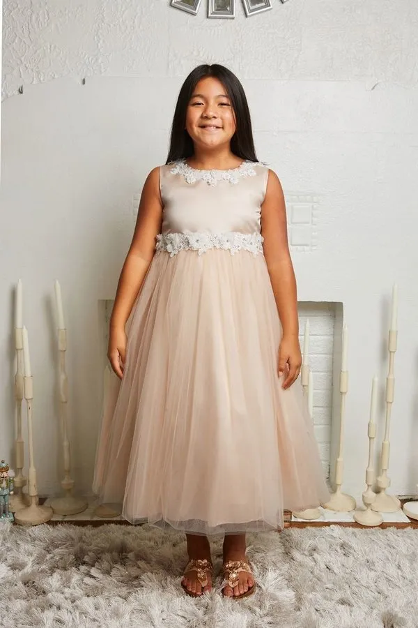 *RESTOCKED* 458-A Luxurious Princess Ballgown Dress with Floral Trim and Plus Sizes